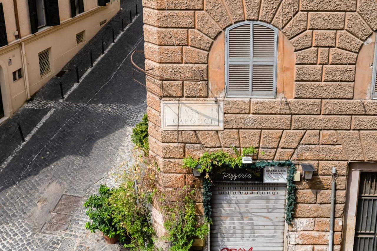 Living Colosseum — Foto 1